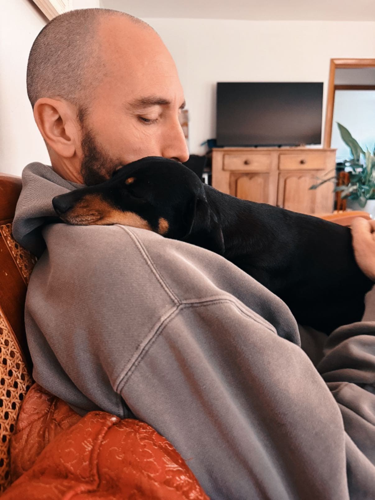 Beanie the miniature dachshund
