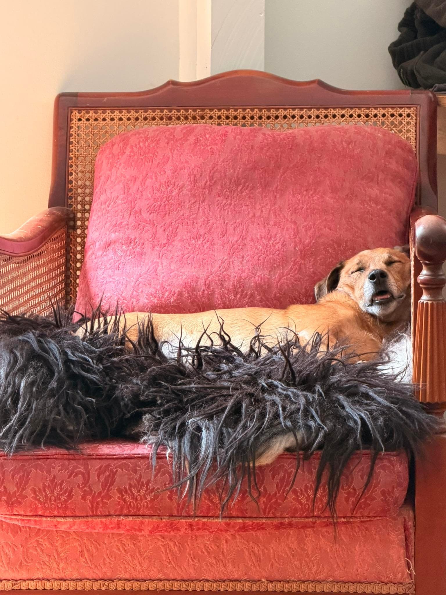 Dax relaxing