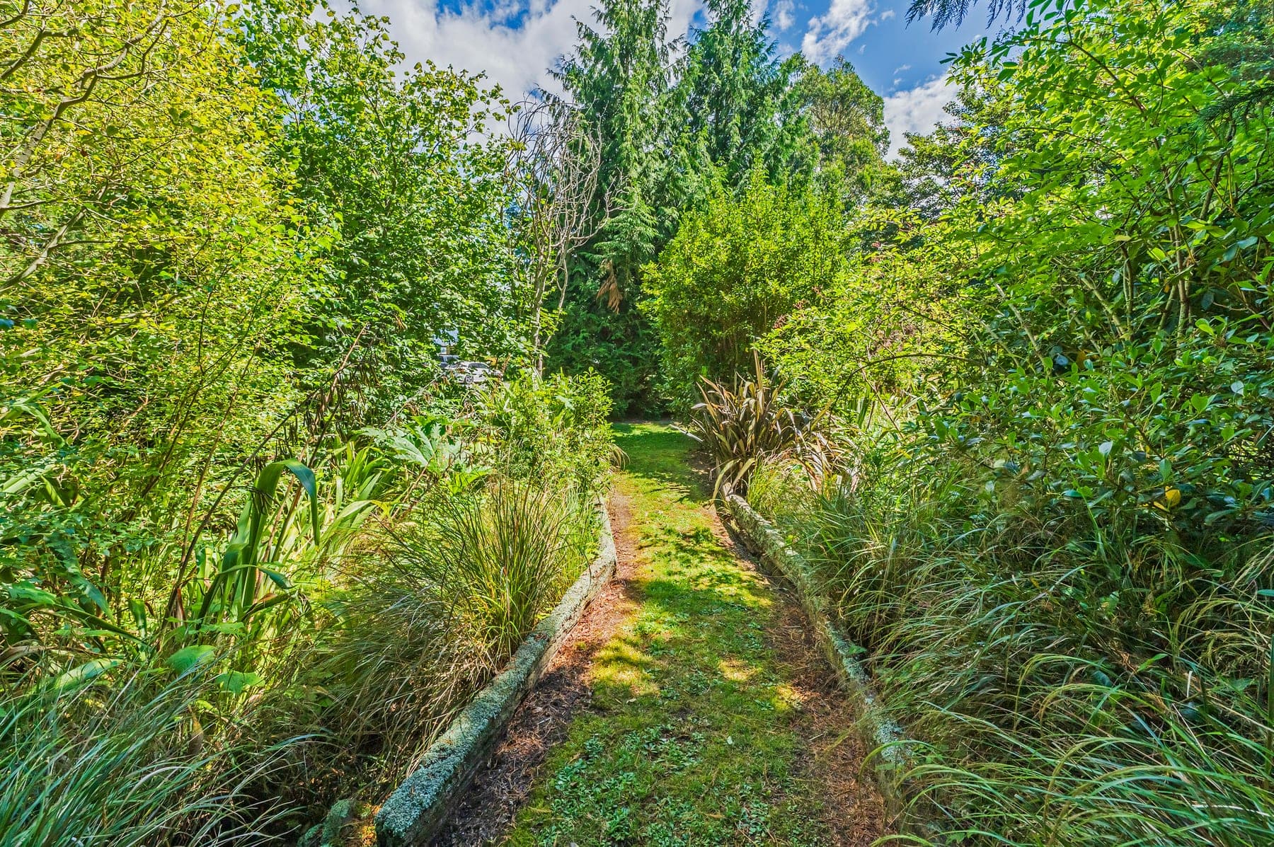 Lush green track through the property