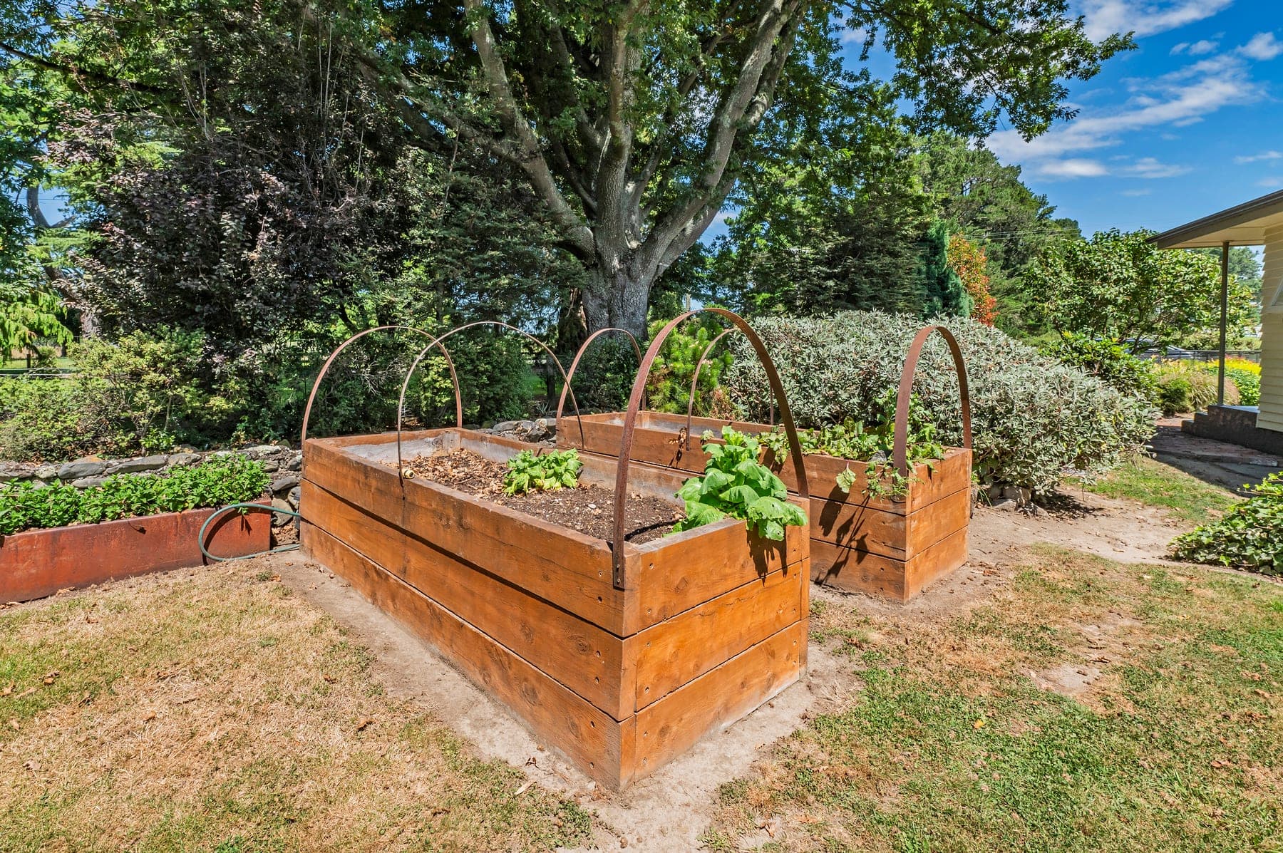 Raised vegetable garden beds
